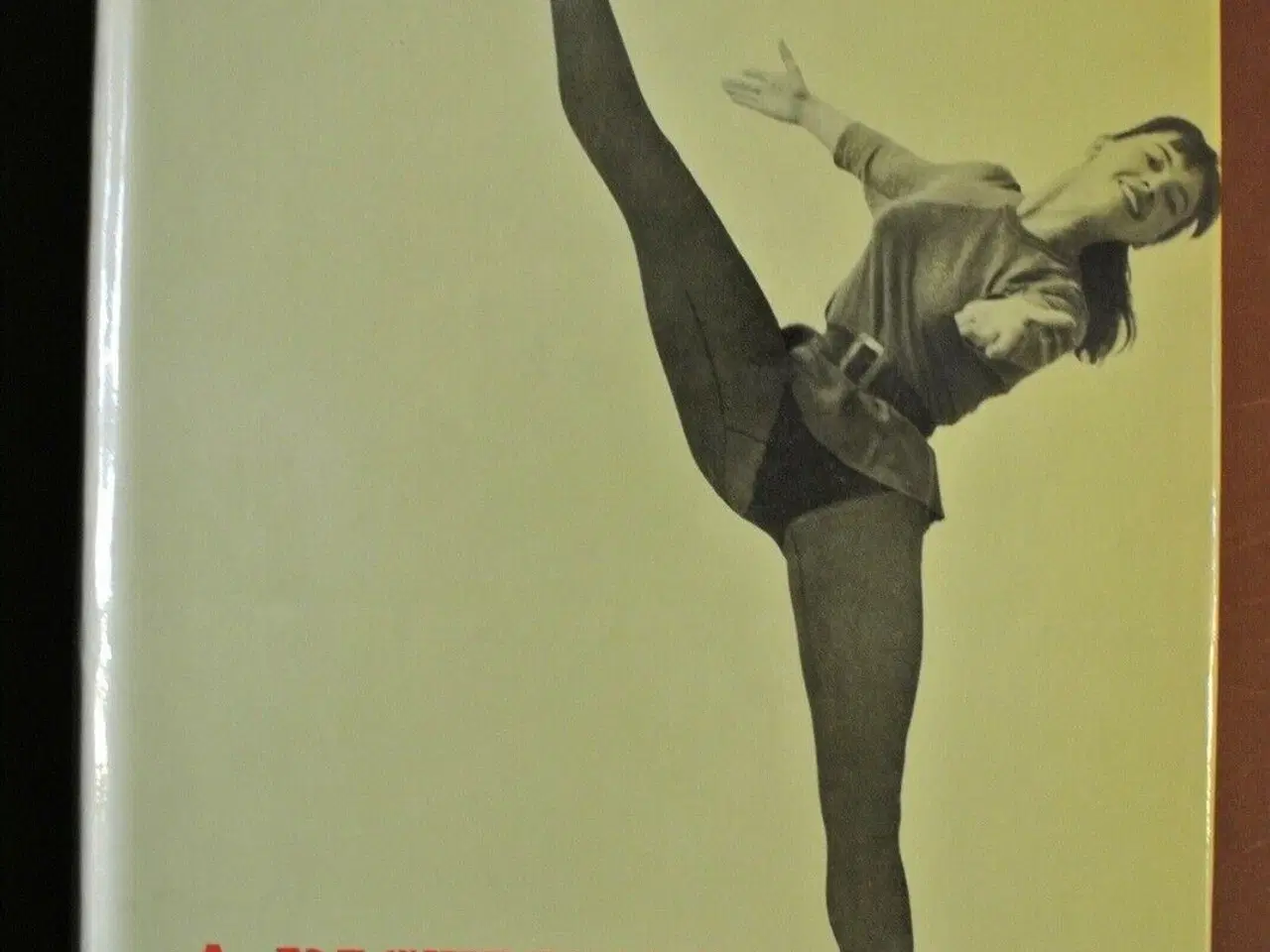 Billede 1 - a dictionary og modern ballet, edited by francis g