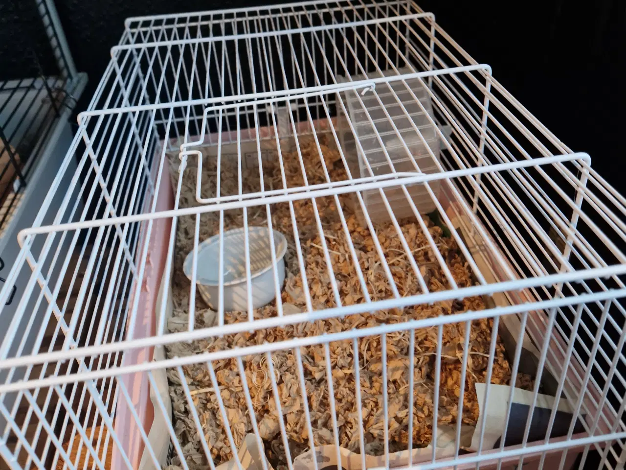 Billede 5 - Hamster med bur og andet tilbehør