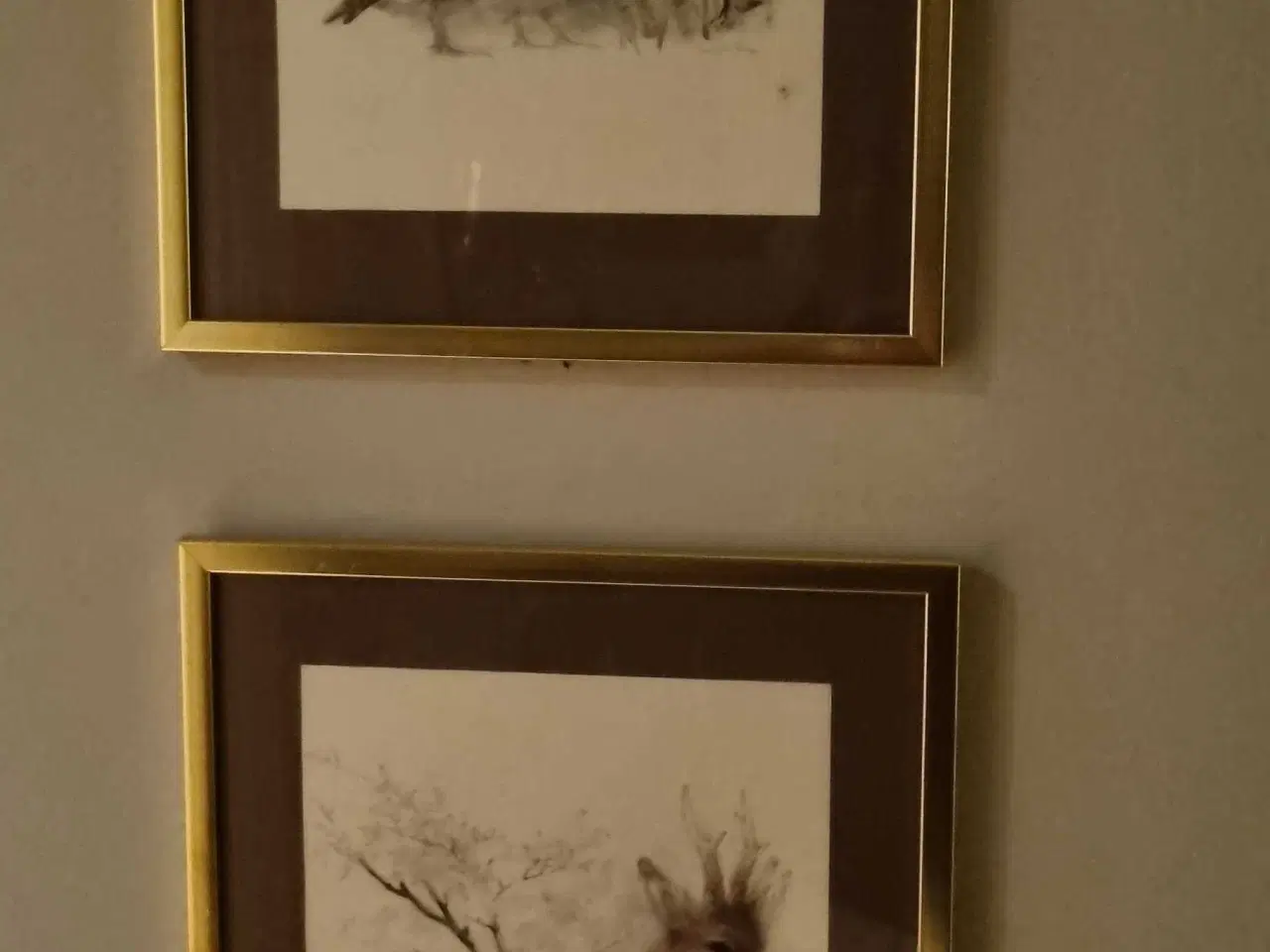 Billede 3 - Mads Stage