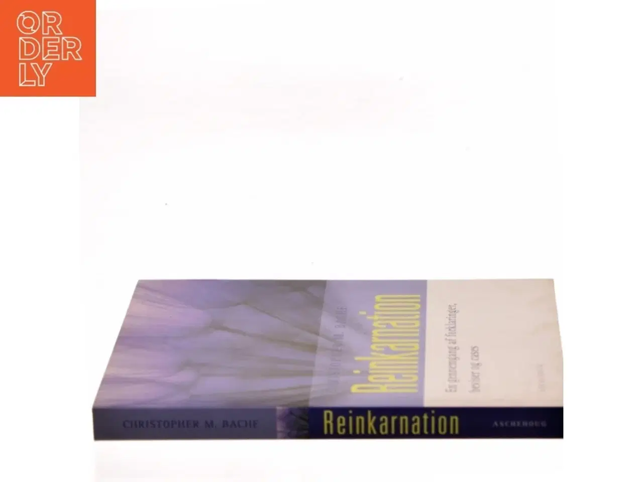 Billede 2 - Reinkarnation af Christopher M. Bache (Bog)