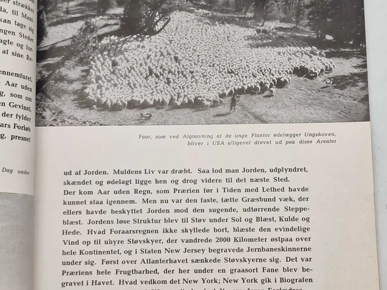 Billede 8 - WW2 - Original germansk budstikke