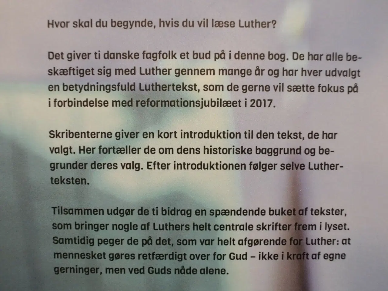 Billede 3 - luther stærke sager - 10 luther-tekster, af martin