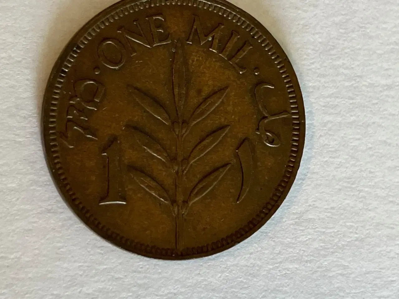 Billede 2 - 1 Mil Palestine 1941