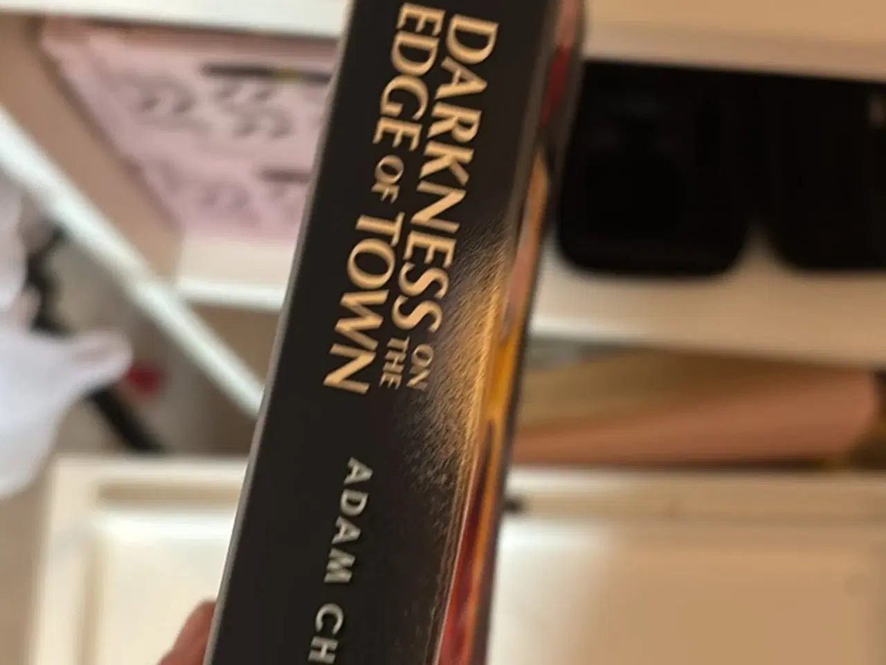 Billede 2 - Stranger things bog