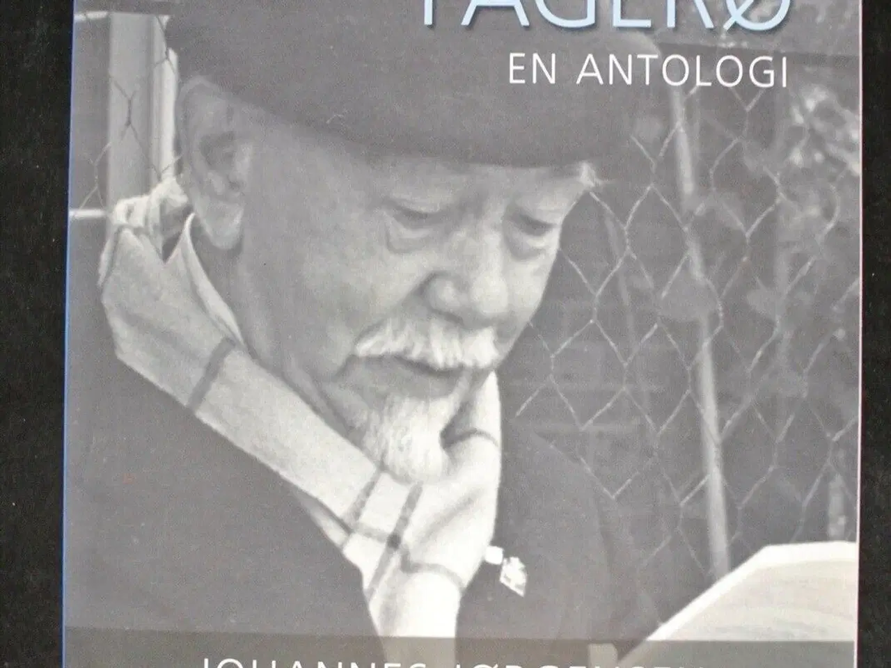Billede 1 - fagerø - en antologi - johannes jørgensen og hans 