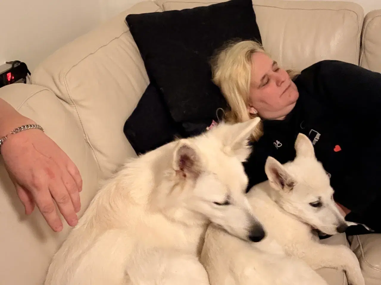 Billede 4 - Ønsker du en hvid bamse dreng