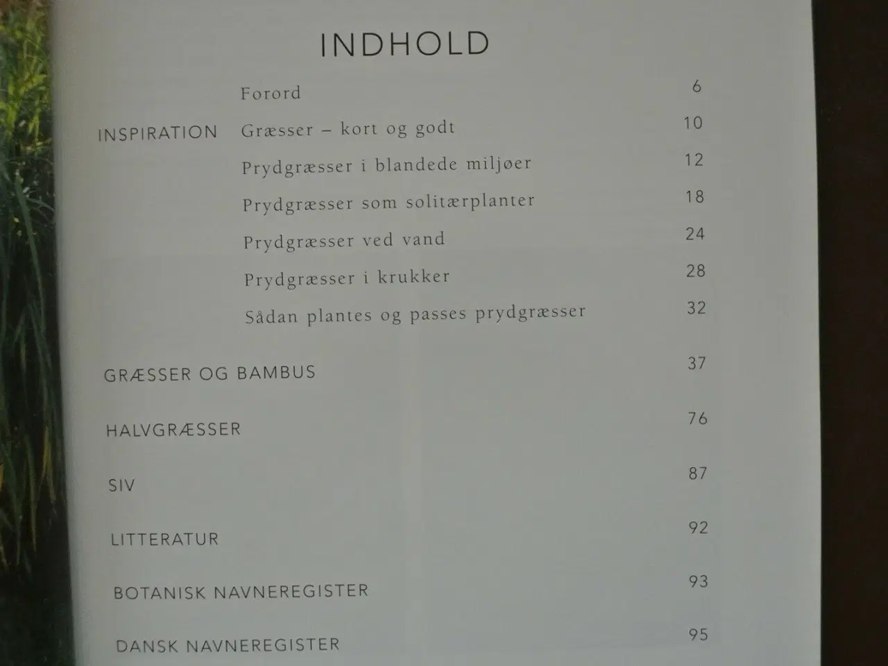 Billede 2 - prydgræsser til haven, af susanna widlundh