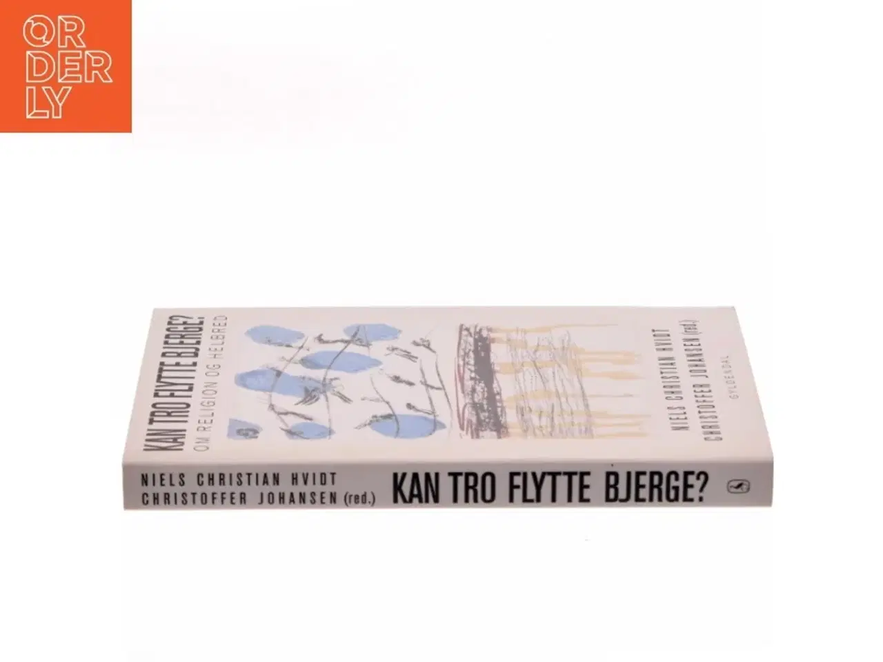 Billede 3 - Kan tro flytte bjerge? : om religion og helbred (Bog)