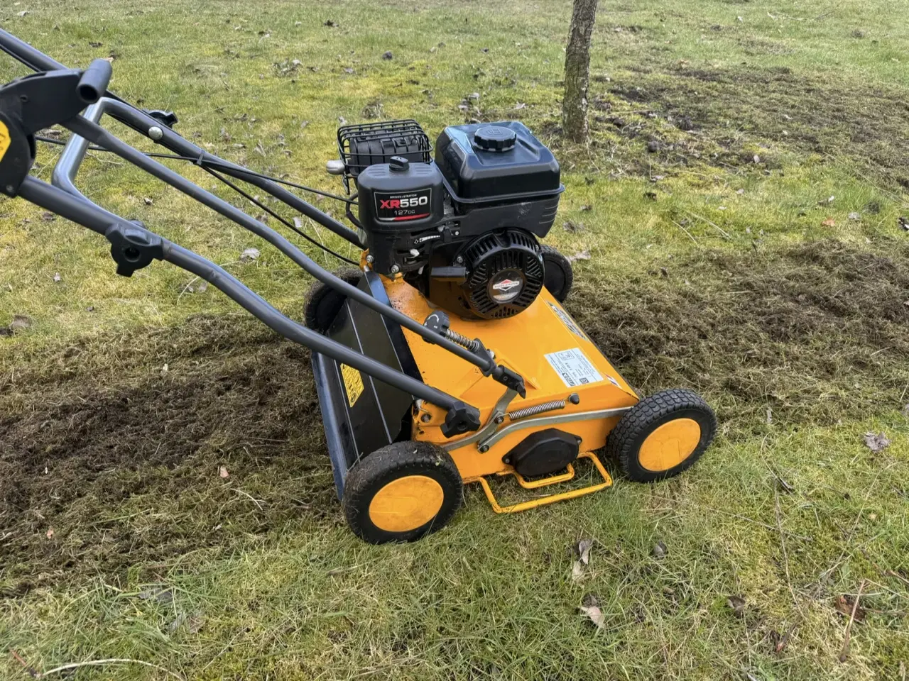 Billede 4 - Vertikalskærer mosfjerner