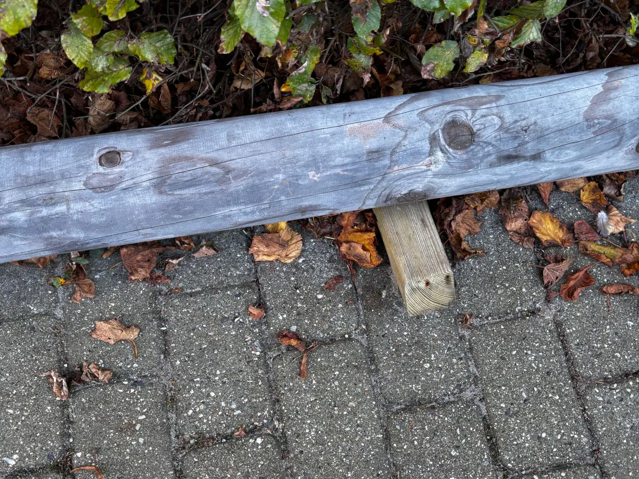 Billede 4 - Stople i lærketræ, 5 meter lang og 14 cm i diamete