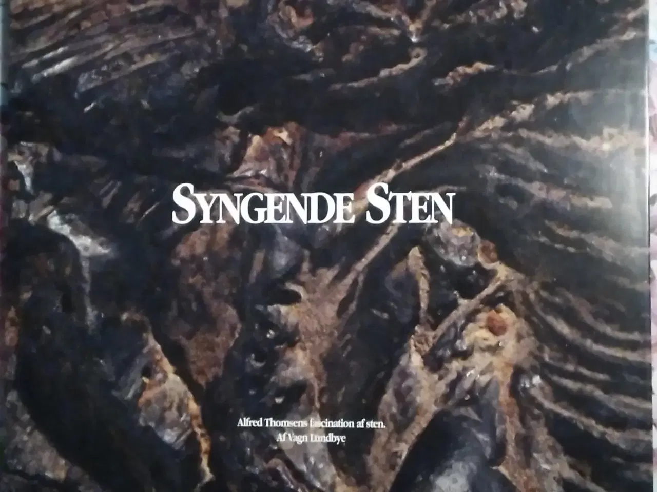Billede 1 - Syngende sten