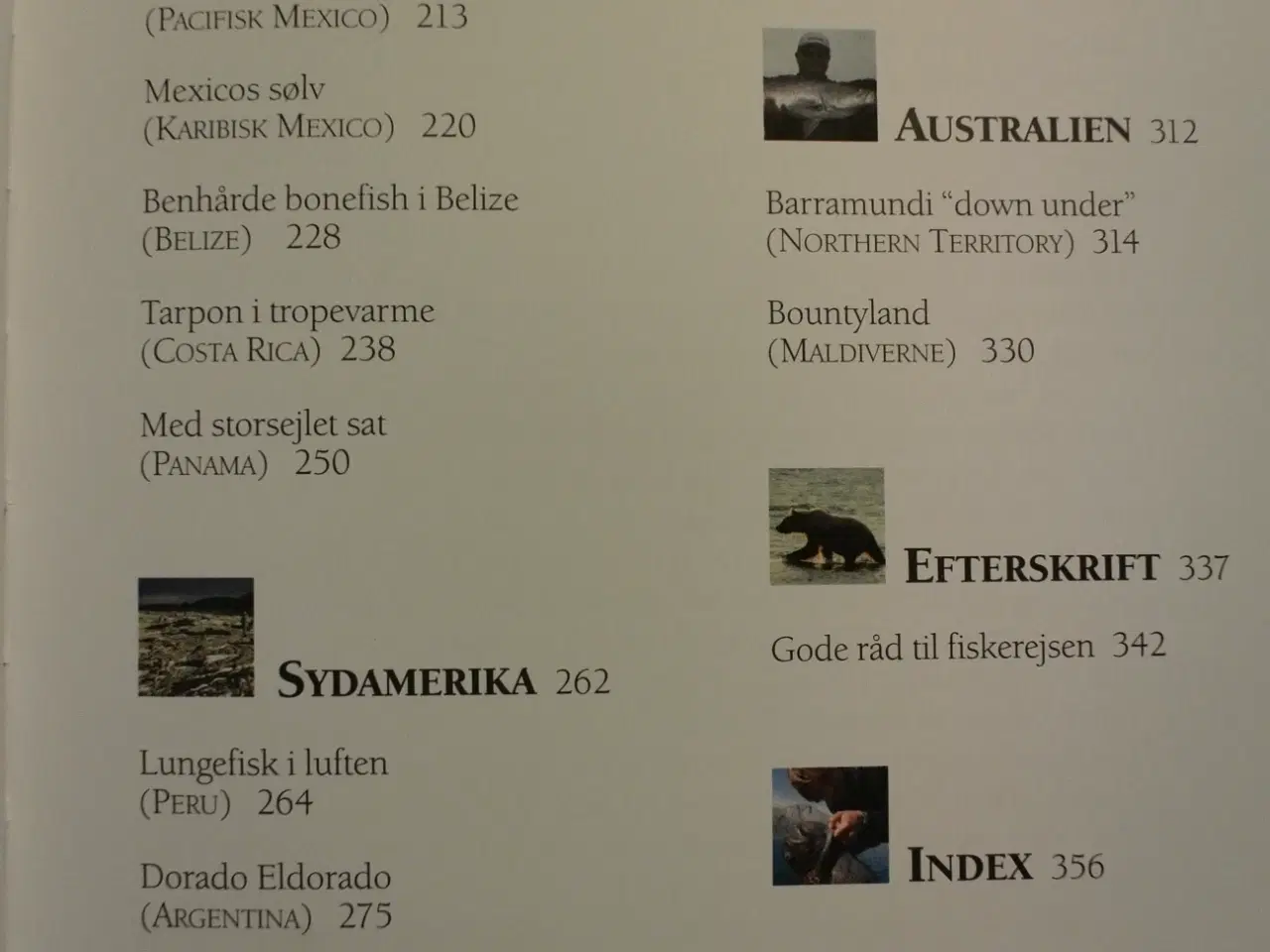 Billede 3 - fiskerejser til fjerne lande af steen ulnits