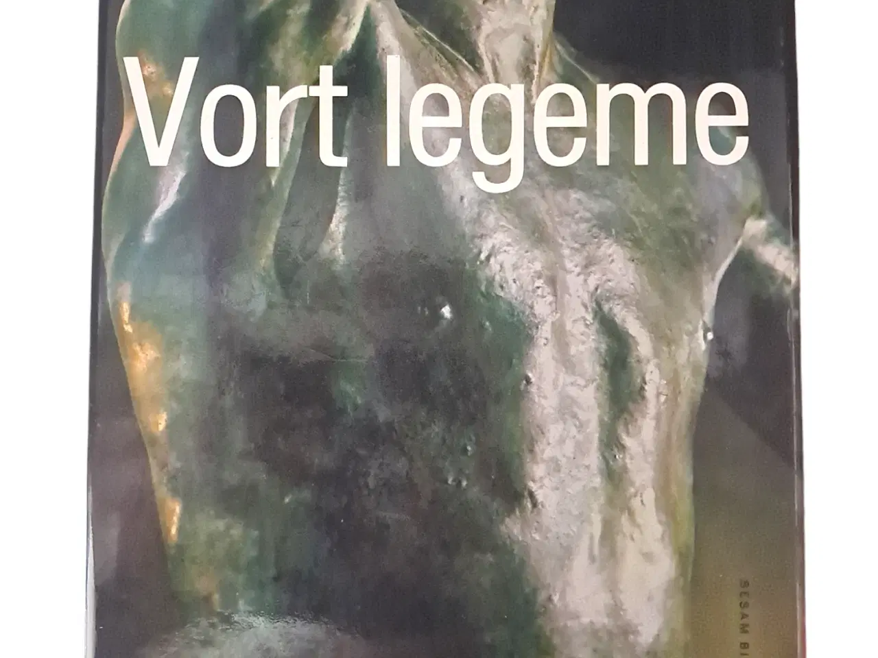 Billede 1 - Vort legeme