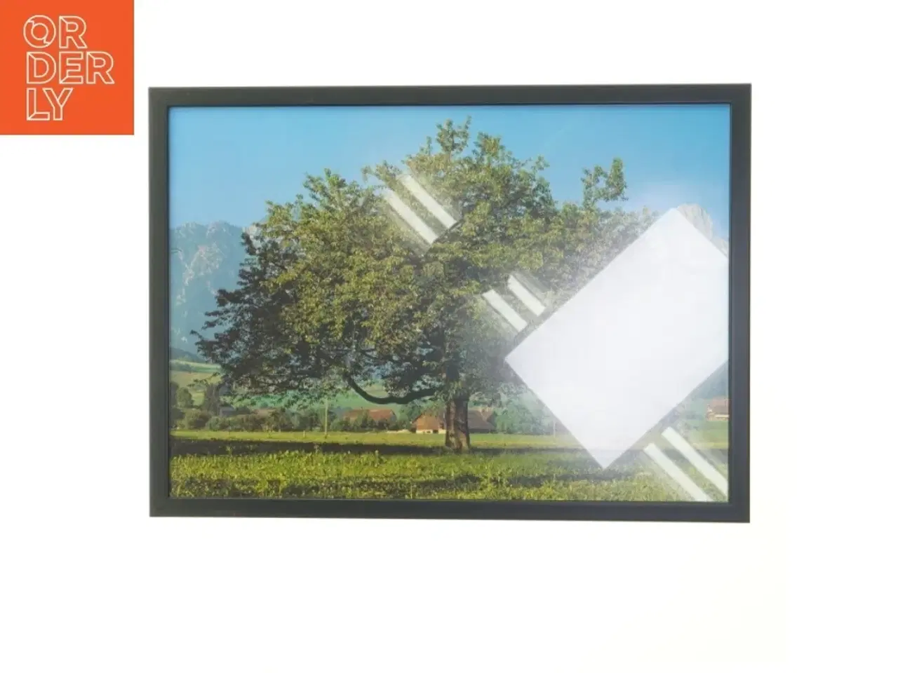 Billede 1 - Indrammet landskabsbillede (str. 30x42 cm)