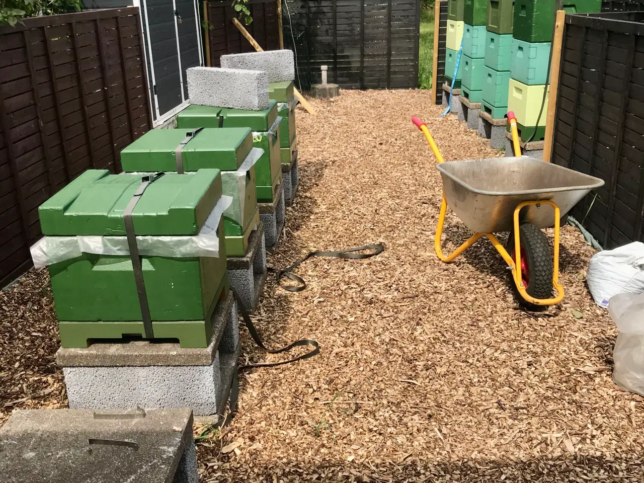 Billede 2 - 🐝 SUNDE BIFAMILIER 