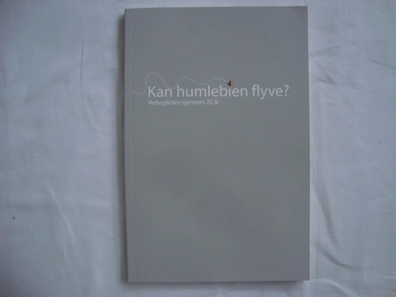 Billede 1 - Kan humlebien flyve ?