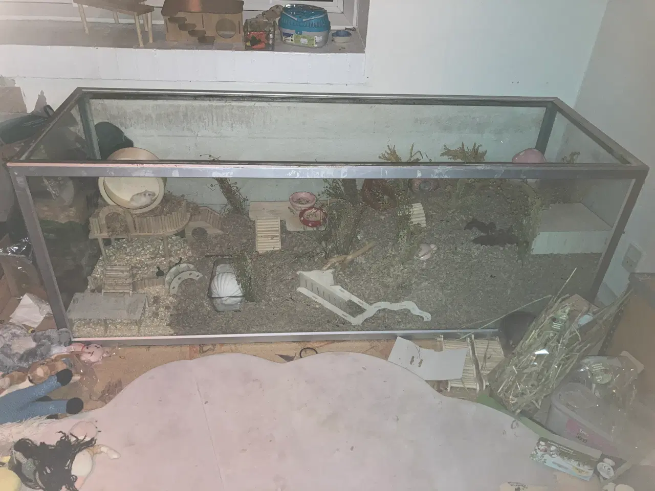 Billede 1 - Terrarium/akvarie