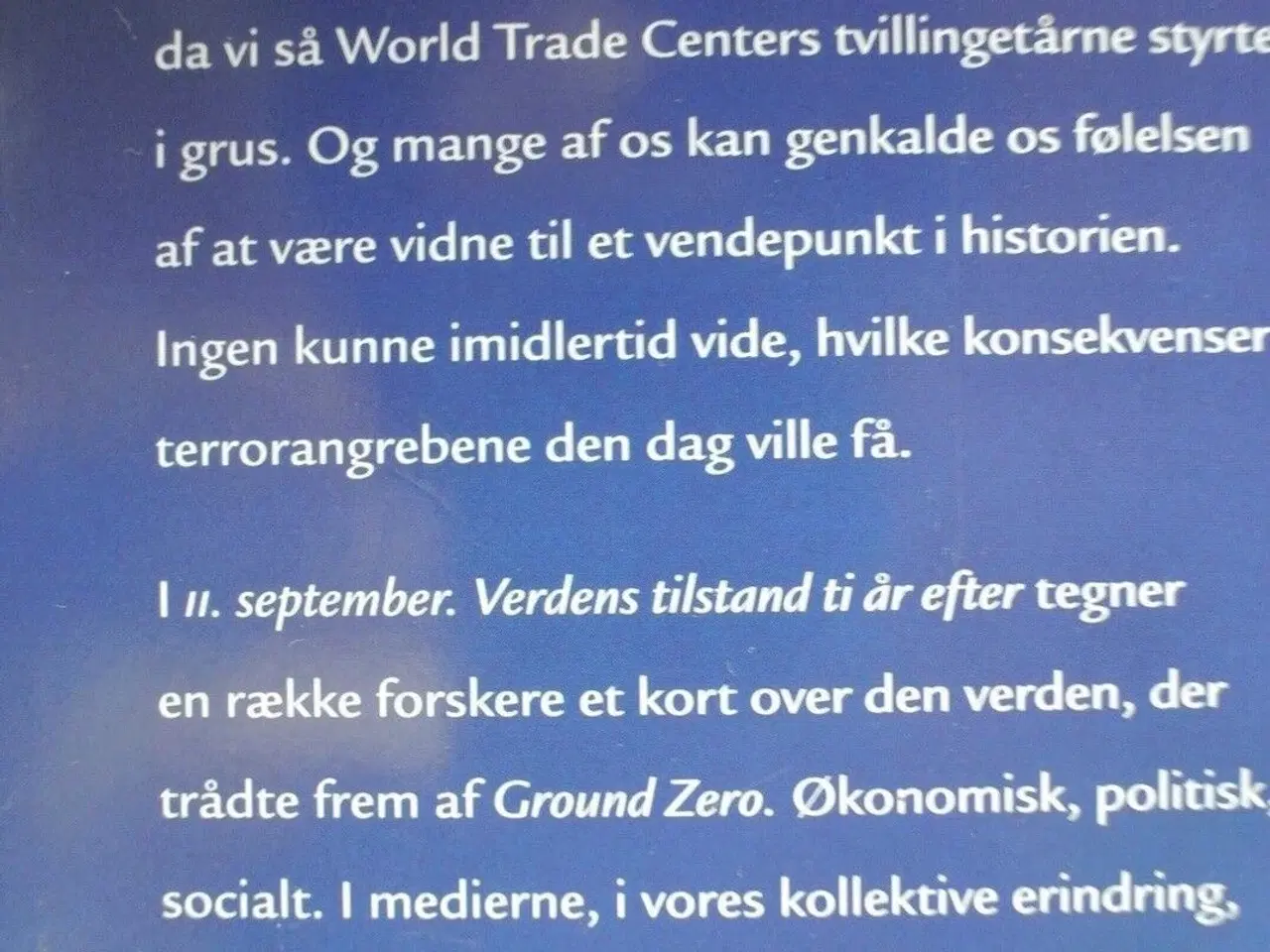 Billede 2 - 11. september - verdens tilstand ti år efter, Af r