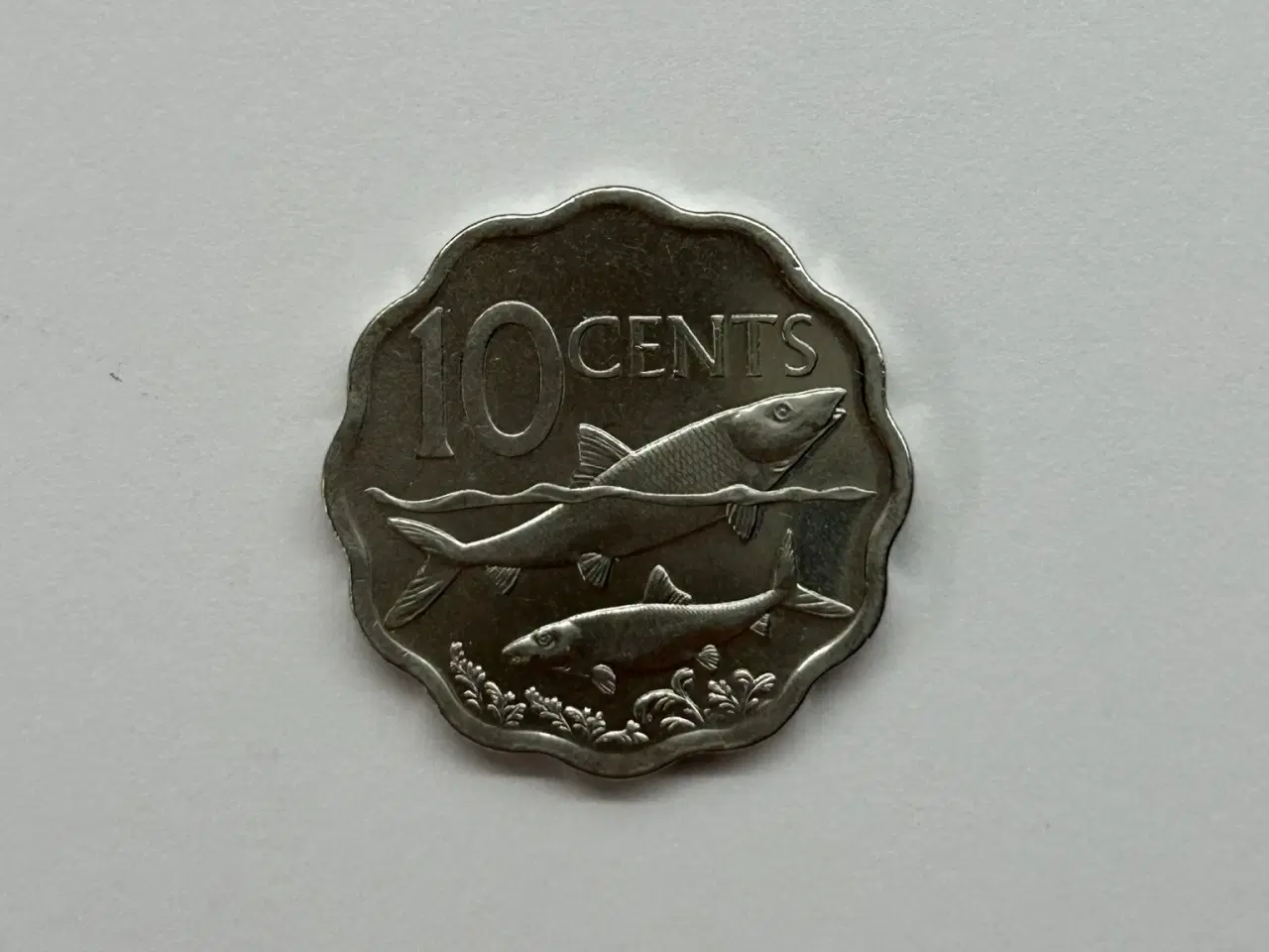 Billede 1 - 10 Cents Bahamas 2007