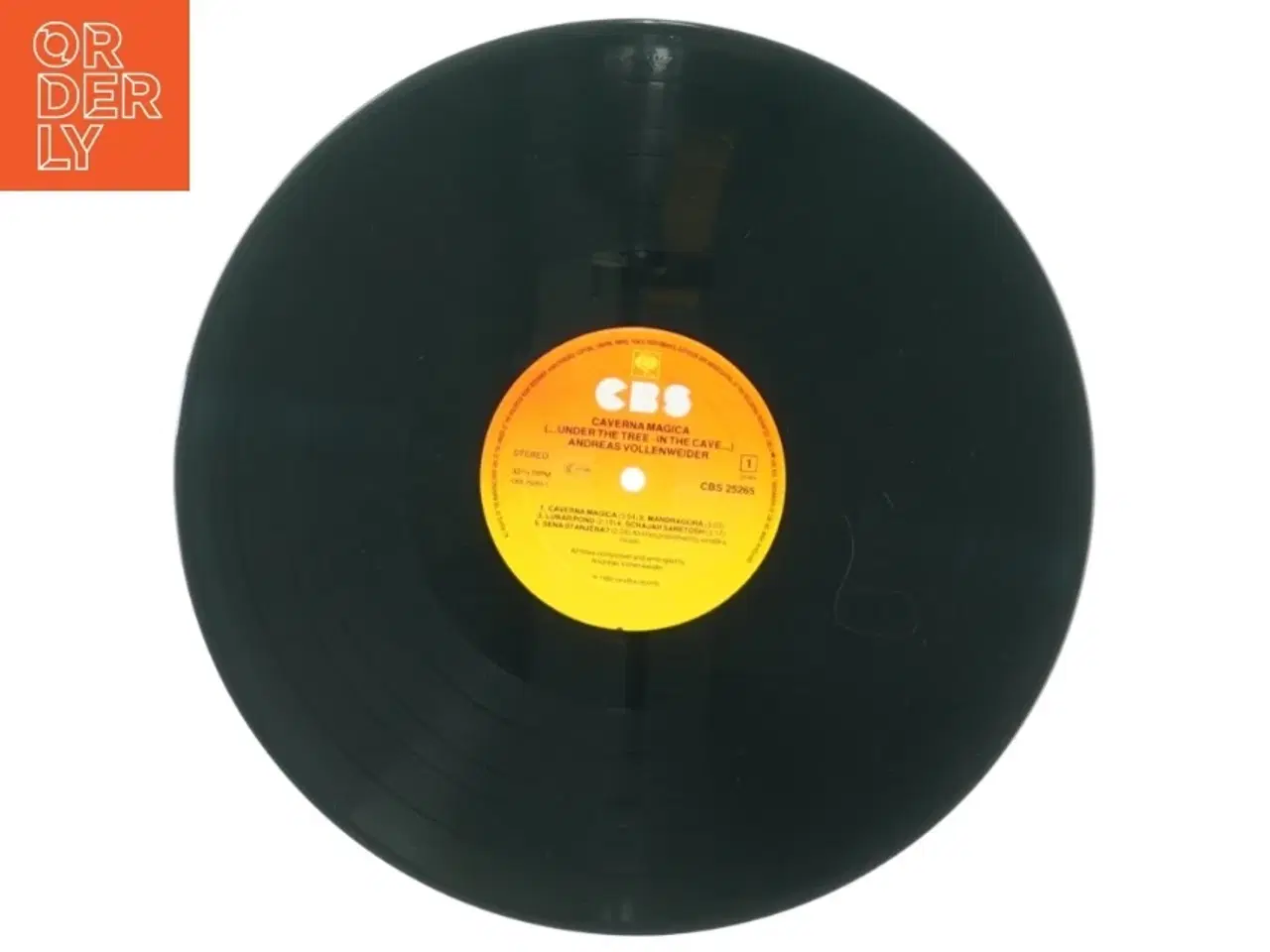 Billede 3 - Andreas Vollenweider: under the tree, in the cave (str. 30 cm)