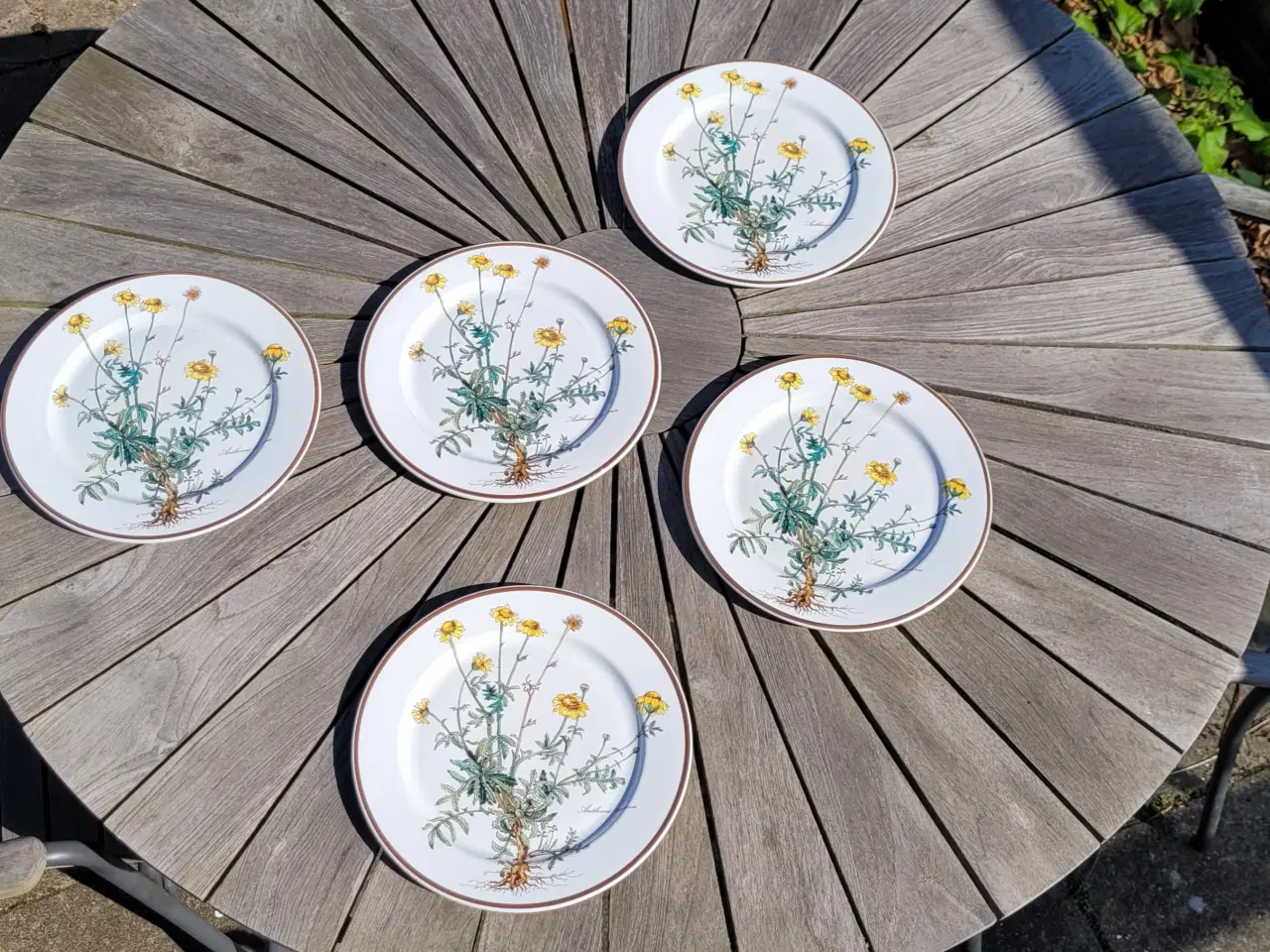 Billede 7 - Villeroy&Boch Botanica middagstallerkener