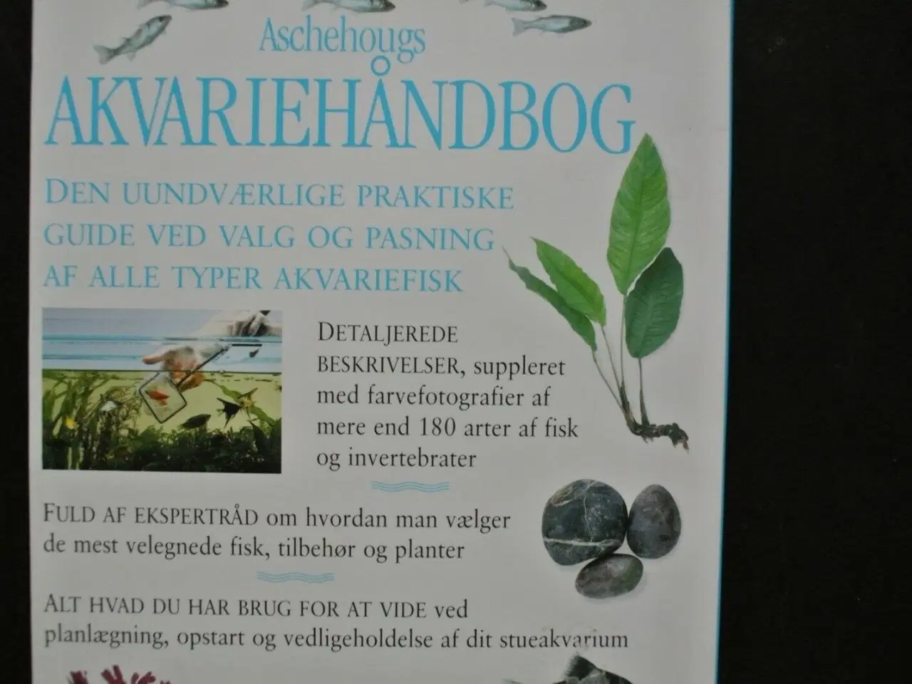 Billede 3 - aschehougs akvariehåndbog. den komplette illustrer