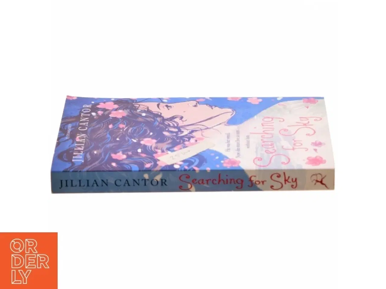 Billede 2 - Searching for Sky af Jillian Cantor (Bog)