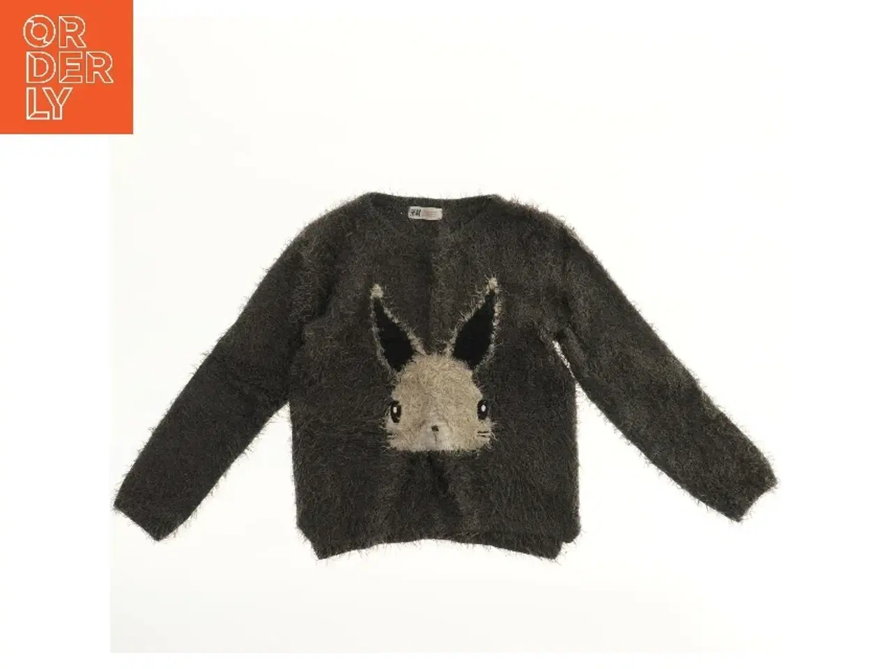 Billede 1 - Børnetrøje med dyremotiv fra H&M (str. 140)