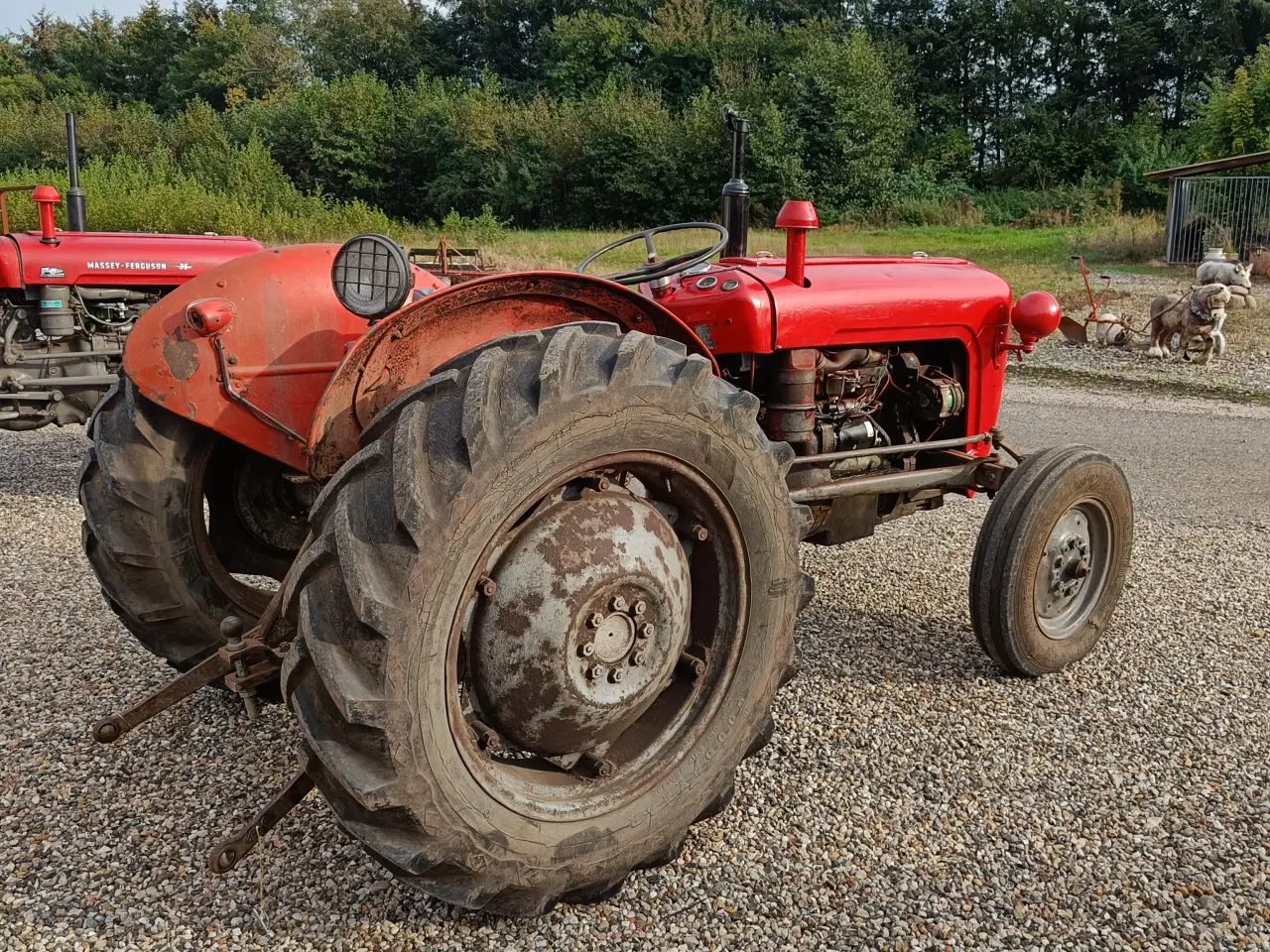 Billede 7 - massey ferguson 35, 3 cyl Diesel