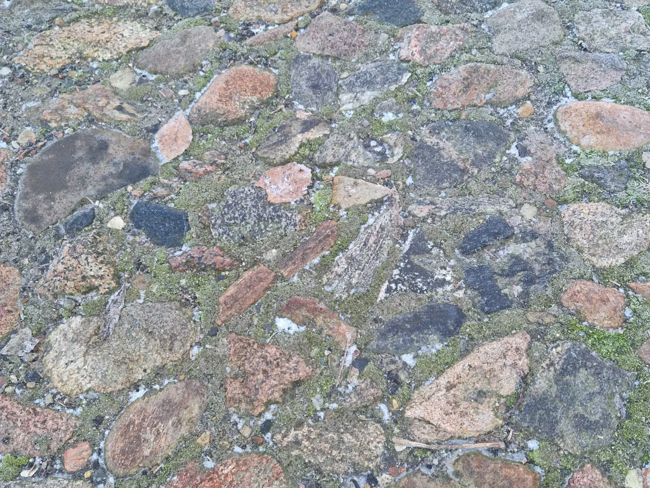 Billede 1 - Pigningssten med flad side afhentes/købes