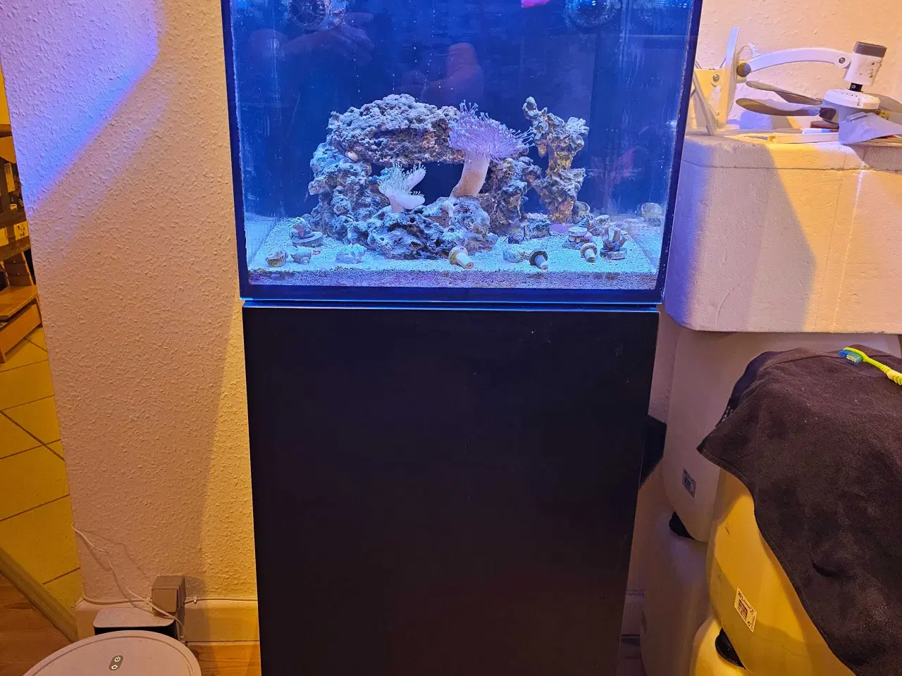 Billede 1 - Red Sea AIO 75 liter saltvandsakvarie