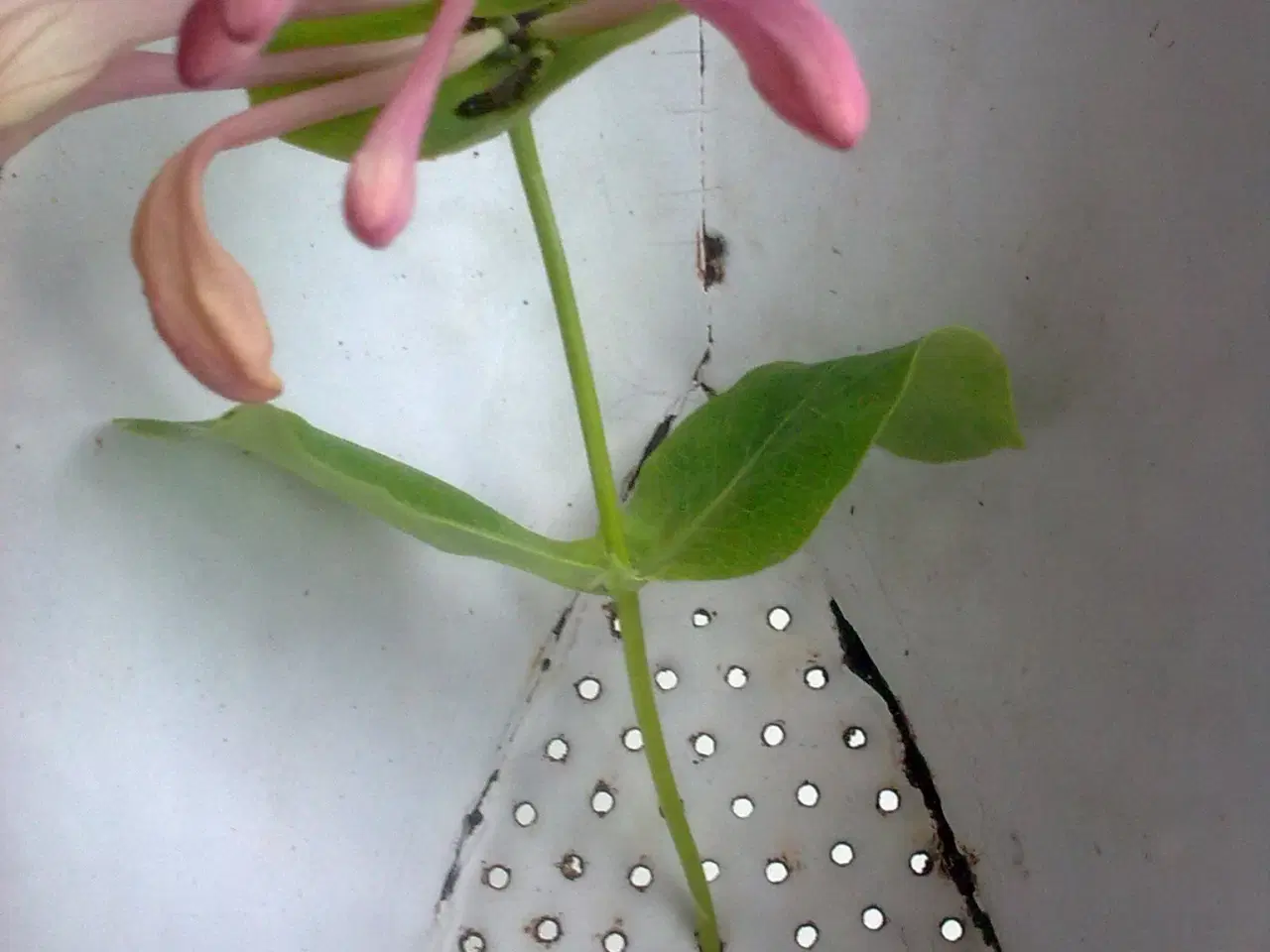 Billede 18 - Metal kedel potteskjuler gran vase OG GM metal