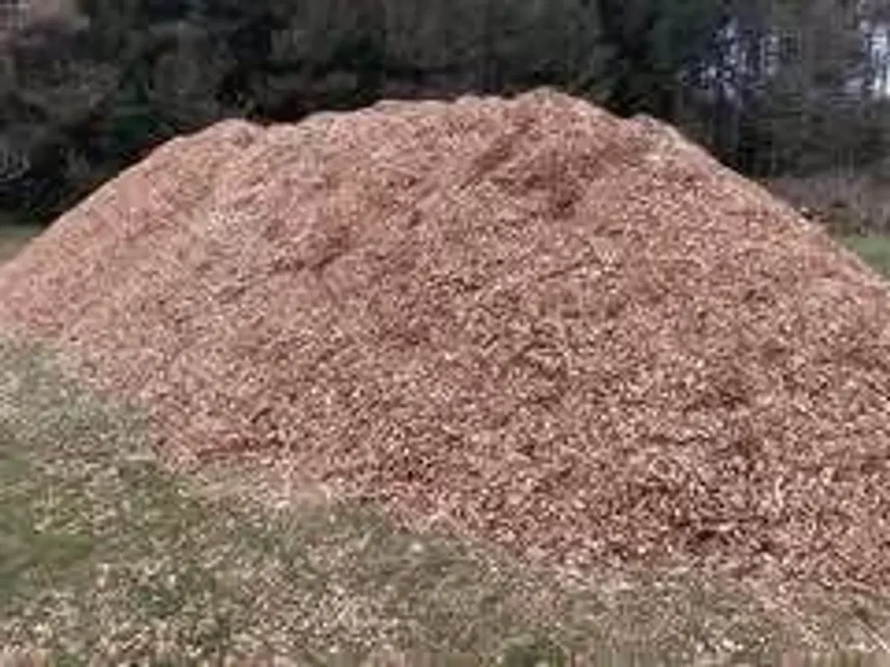 Billede 2 - Stokerflis og haveflis