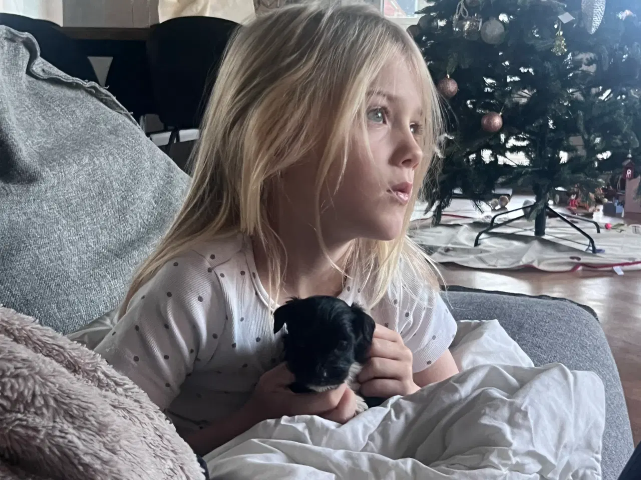 Billede 7 - Klar den 25 december