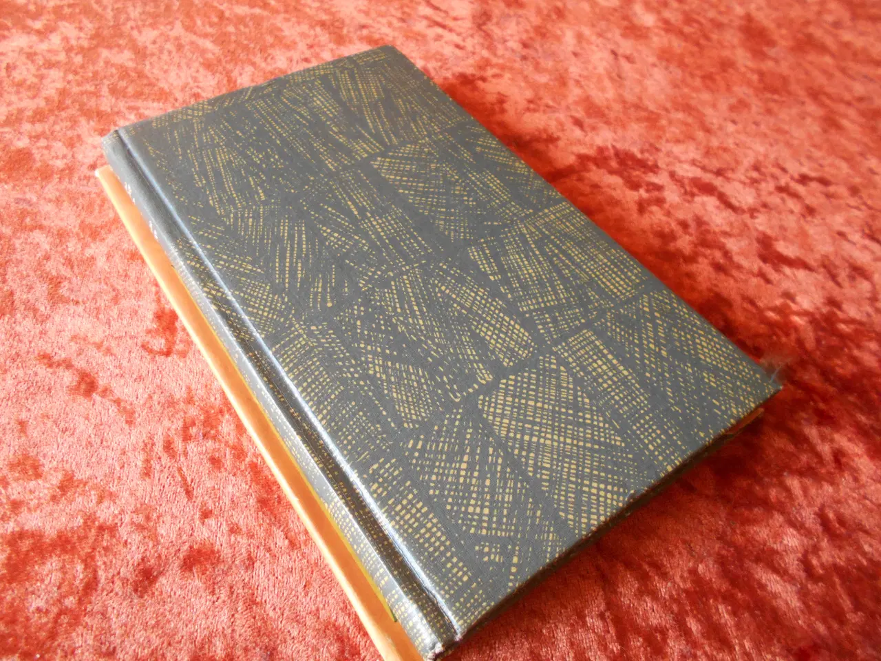 Billede 2 - Polens Døtre, Agnes Henningsen