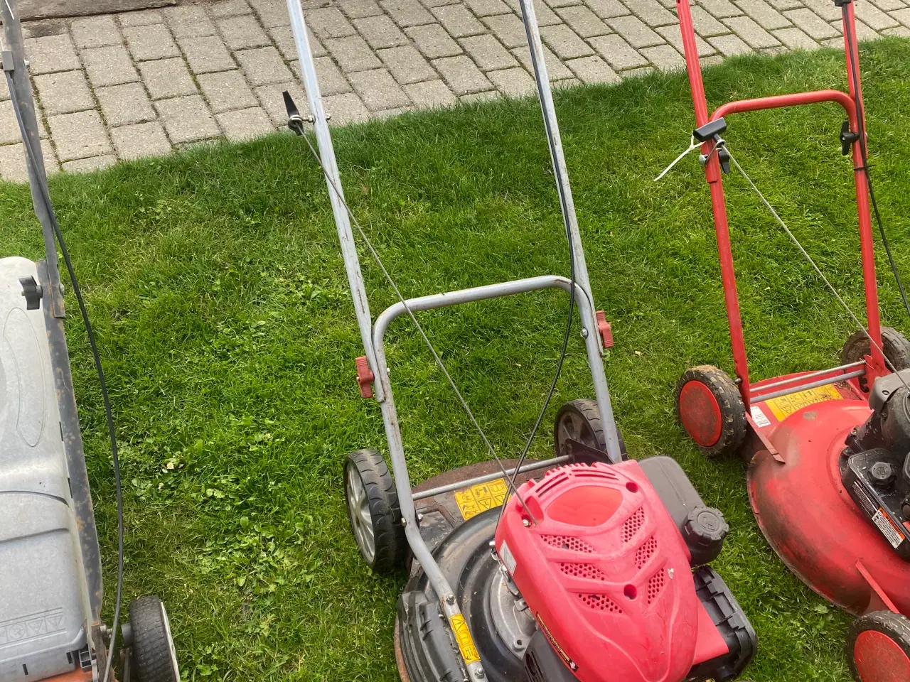 Billede 5 - Rotor plæneklipper 