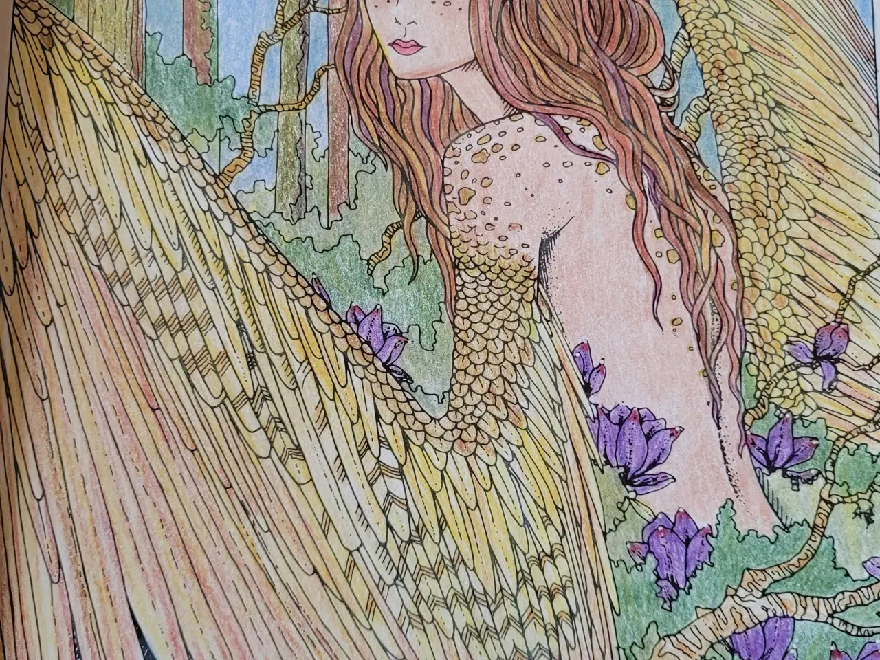 Billede 7 - Adam fishet Brødrene Grim og Johanna Basford