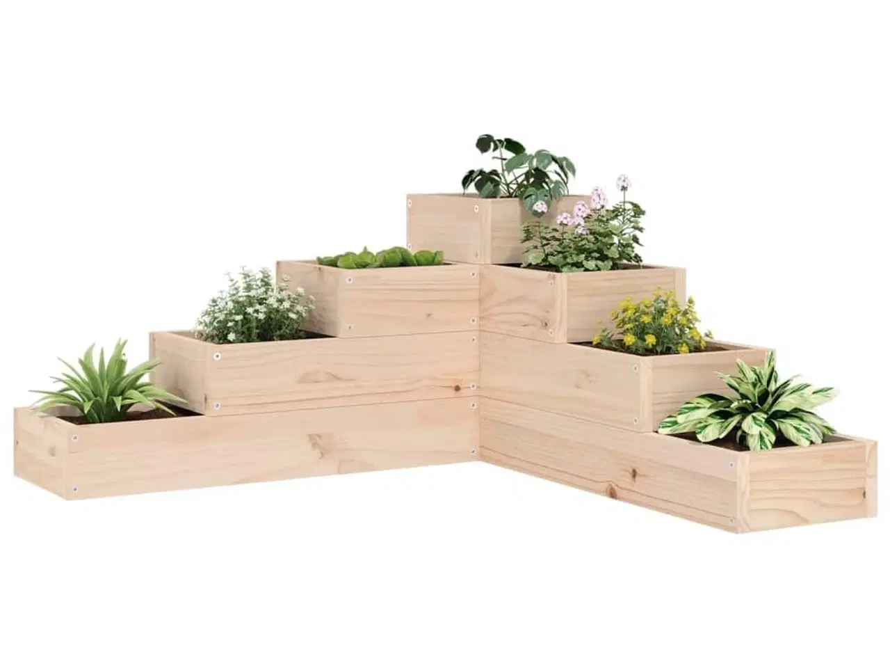 Billede 1 - Plantekasse 4 niveauer 80,5x79x36 cm massivt fyrretræ