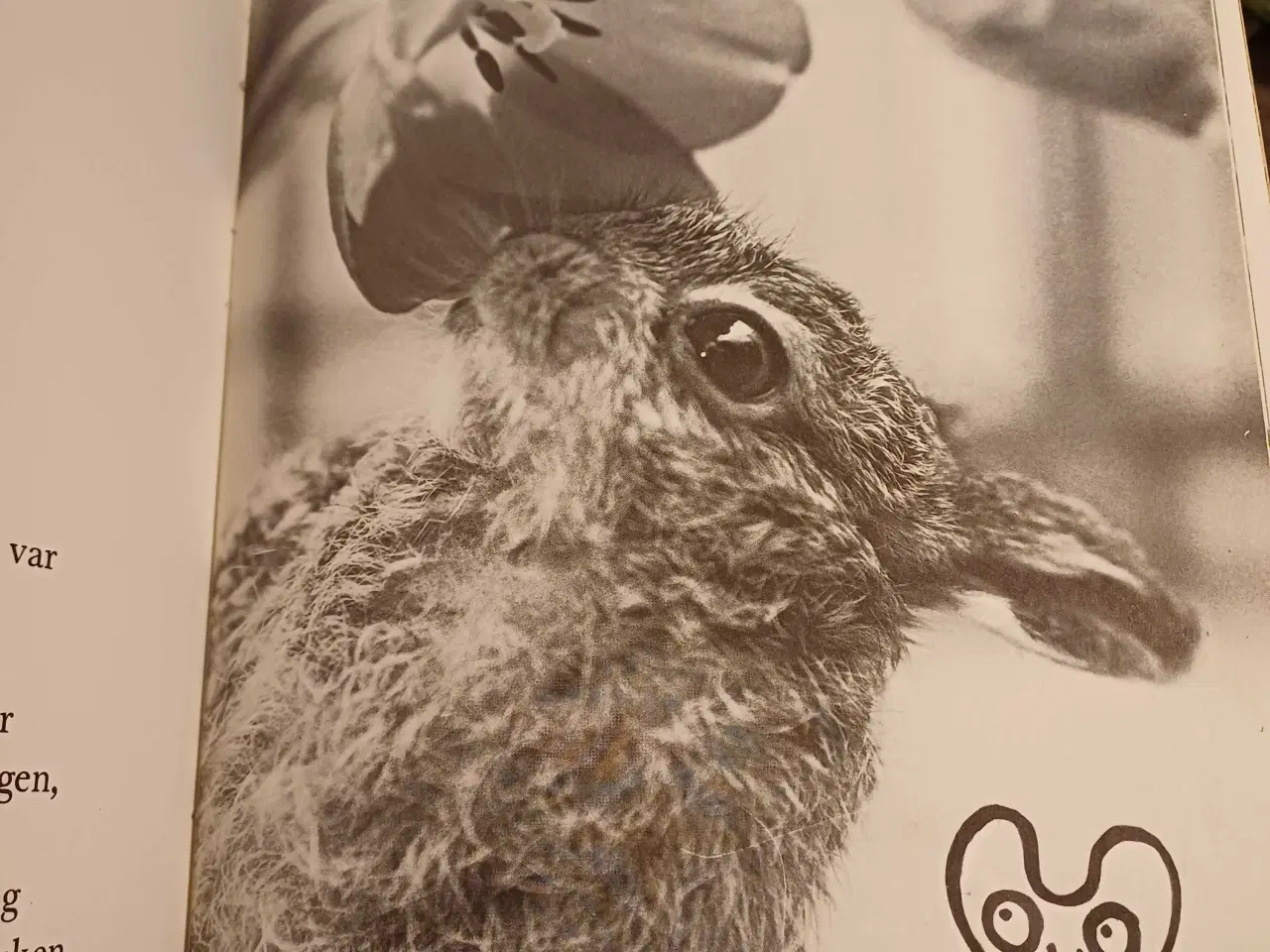 Billede 10 - 4 forskellige ældre børne bøger 