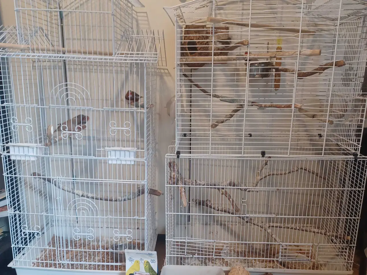 Billede 4 - Finker og bure