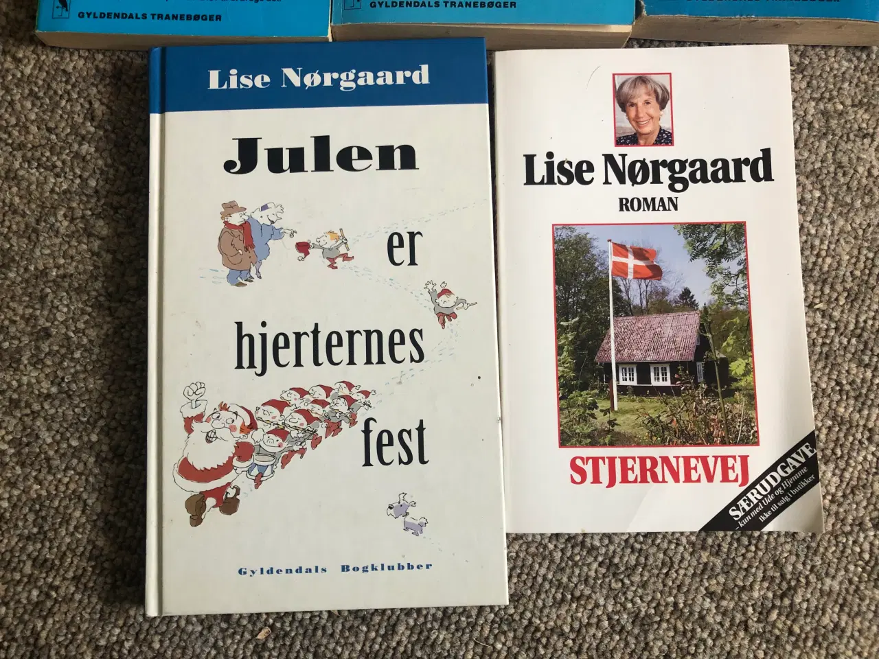 Billede 1 - Lise Nørgaard bøger. 