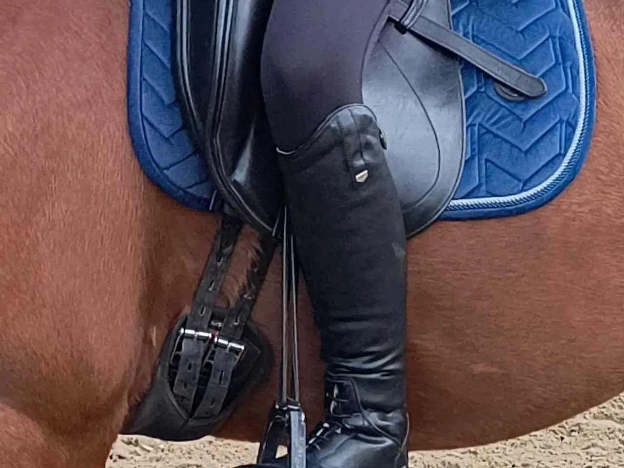 Billede 1 - Kentaur Elektra dressur sadel