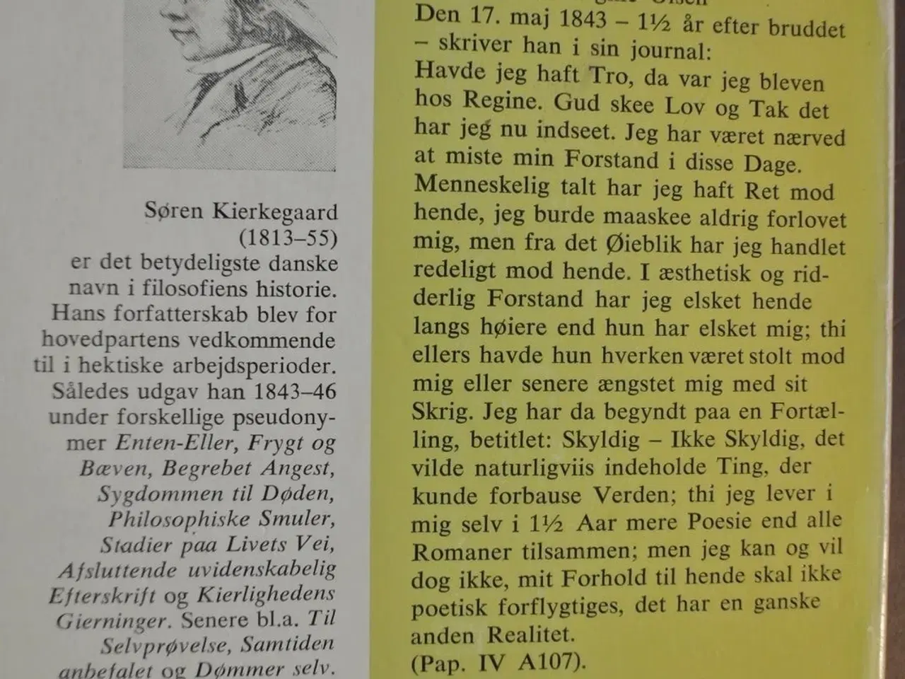 Billede 4 - skyldig - ikke skyldig, af søren kierkegaard, emne