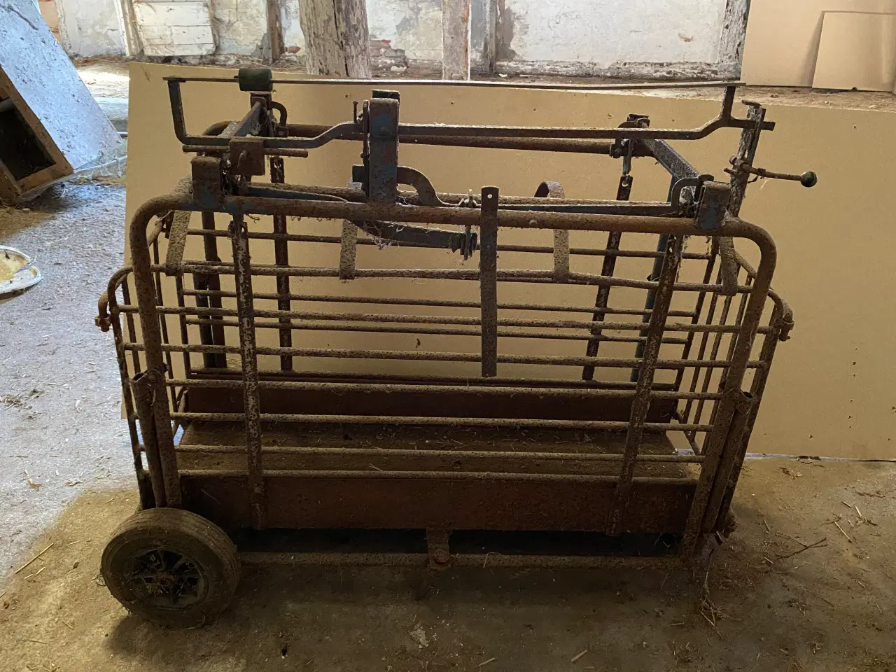 Billede 1 - Grisevægt