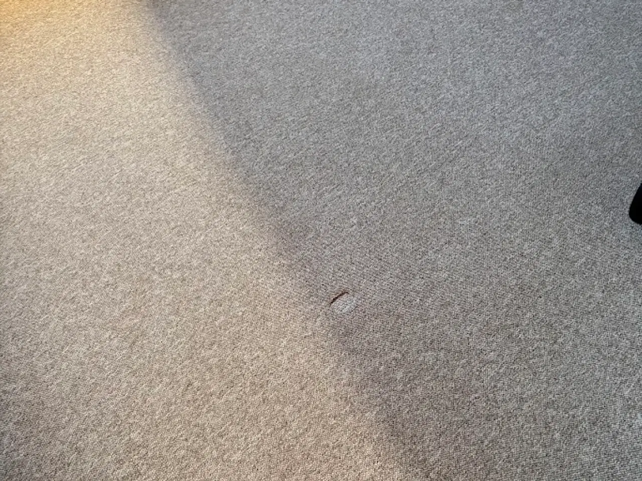 Billede 1 - Tæppe fra soverum