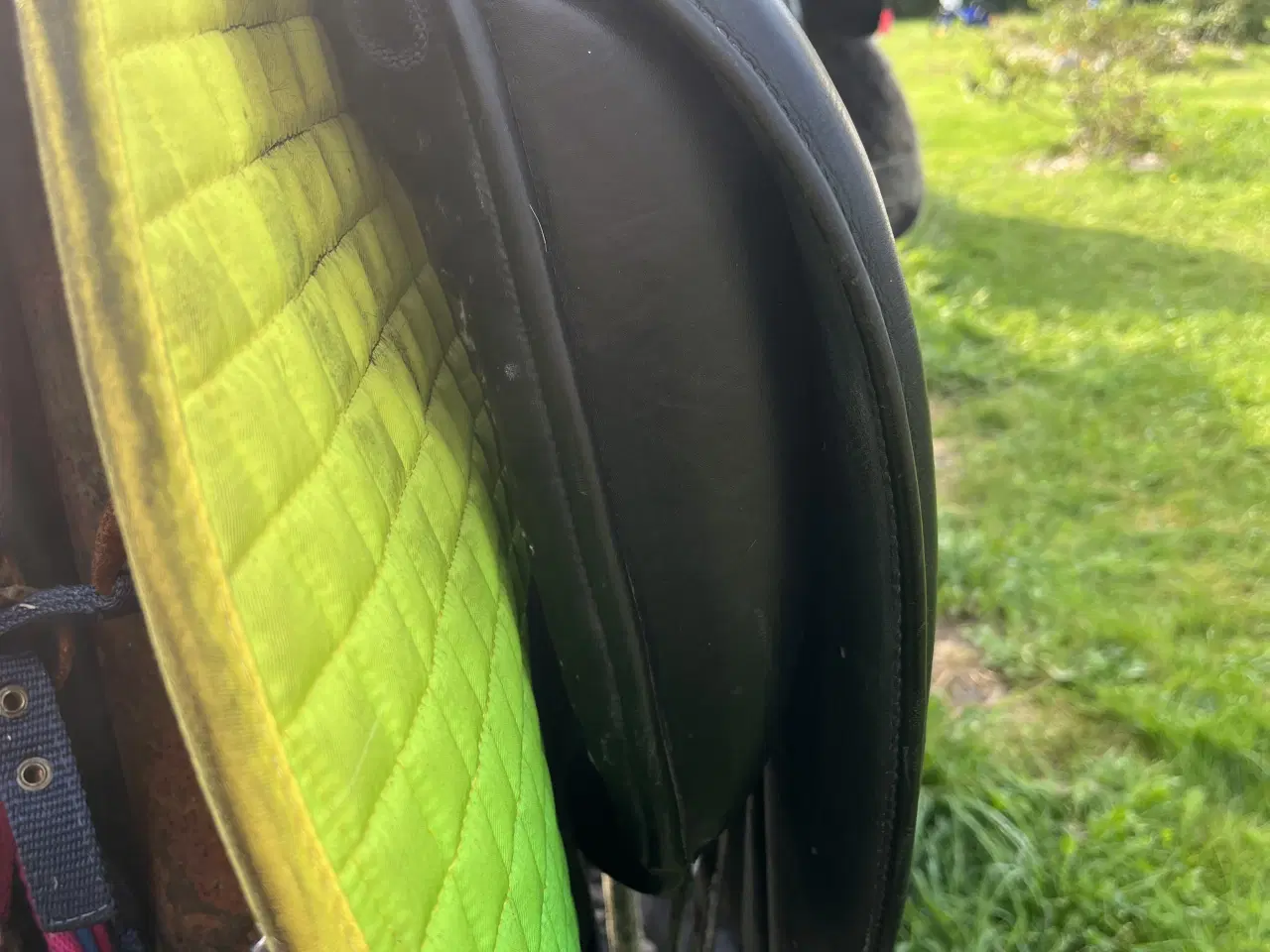 Billede 4 - Dressur sadle 