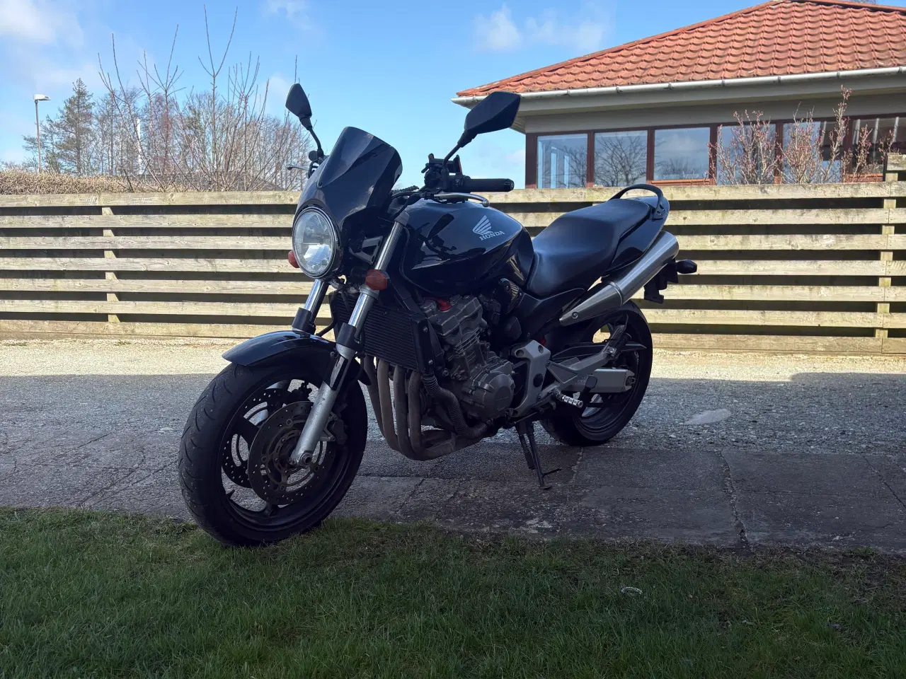 Billede 6 - Honda CB900 F Hornet (919) årgang 2003