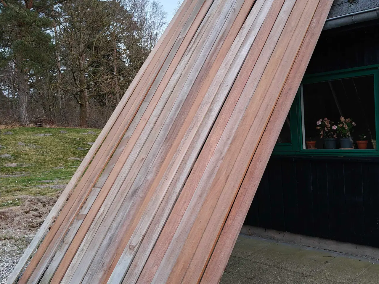 Billede 2 - Eksklusiv Brasiliansk valnød -IPE