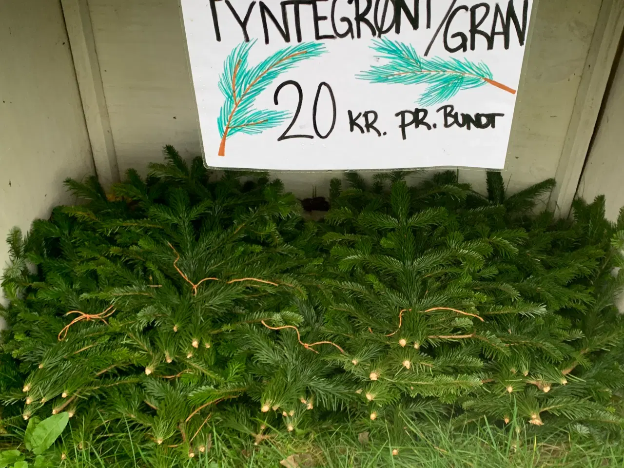 Billede 1 - Gran