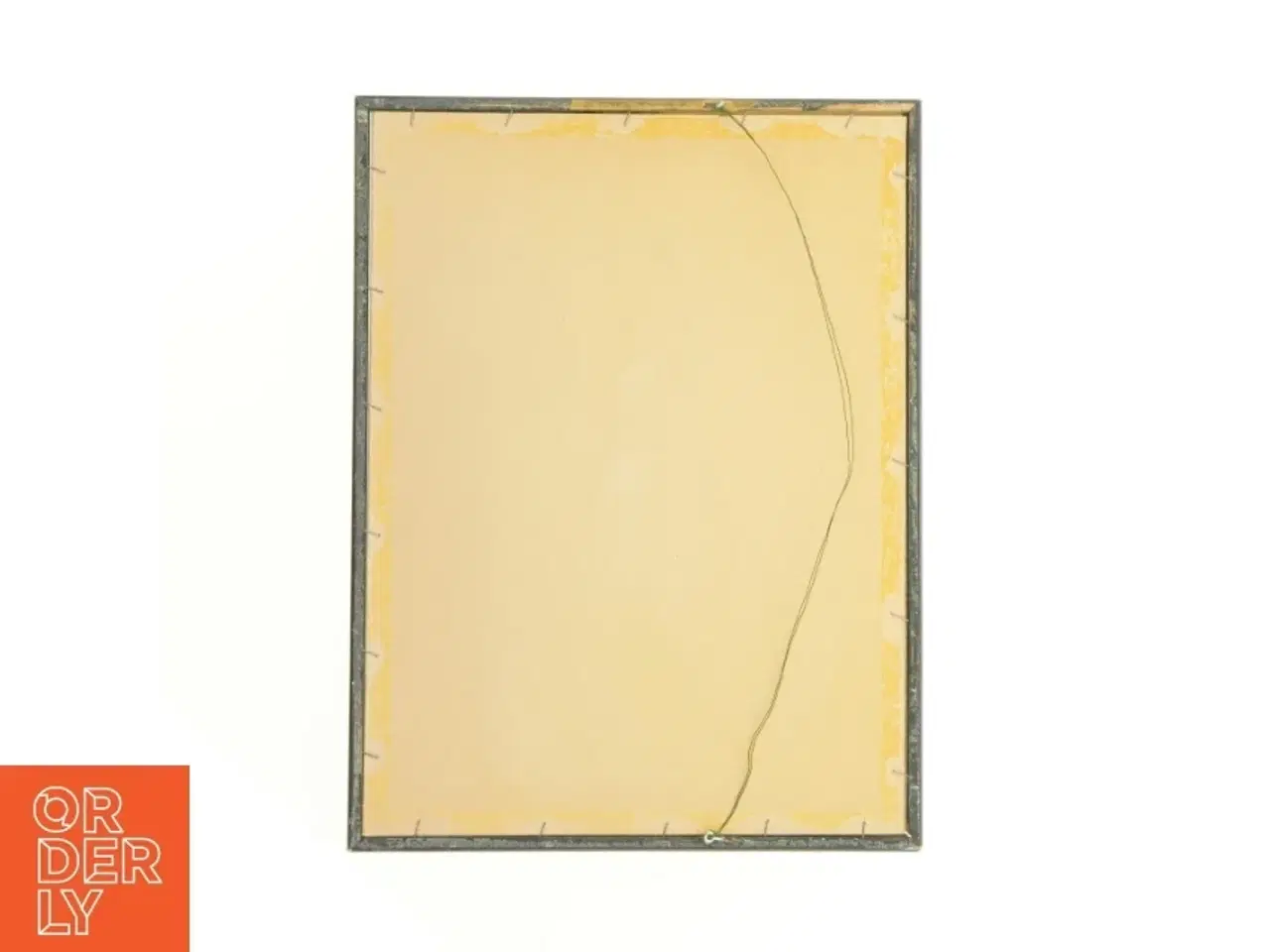 Billede 4 - Indrammet botanisk tryk (str. 40 x 30,5 cm)